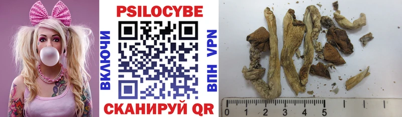 Псилоцибиновые грибы Psilocybe  omg ТОР  Катайск 